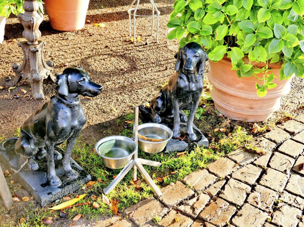 dog drinks, bowl, dog bowl, water, drink, dog, dogbar, luxury, dog figure, dog drinks, dog bowl, dog bowl, dog bowl, dog bowl, dog bowl