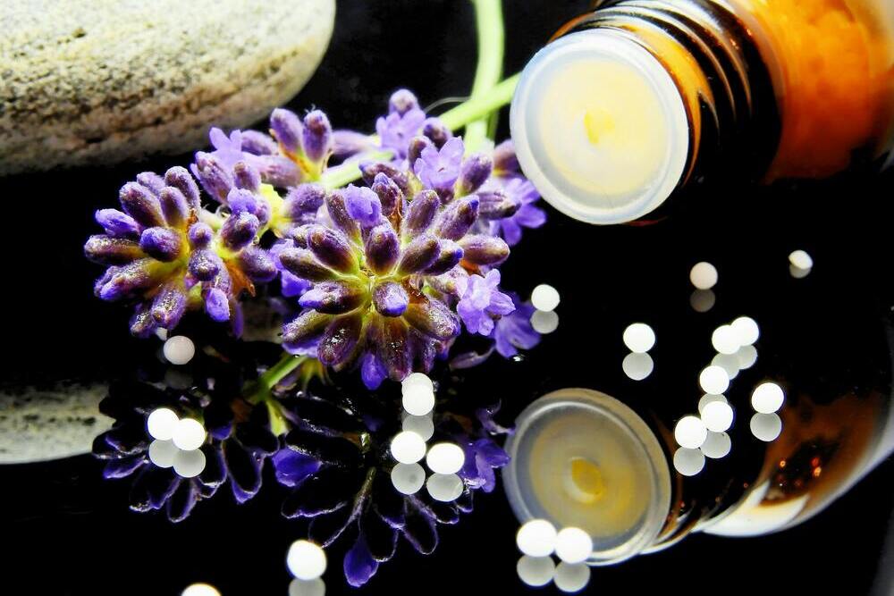 Reisekrankheit Hund Globuli Homöopathie