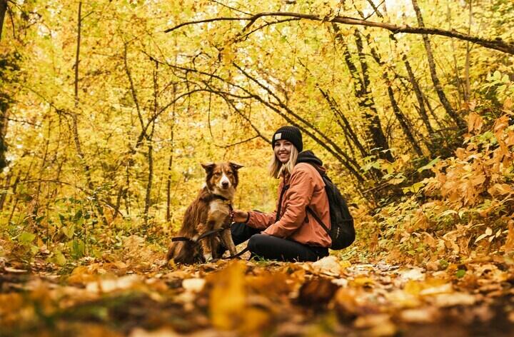 Herbstwanderung mit Hund