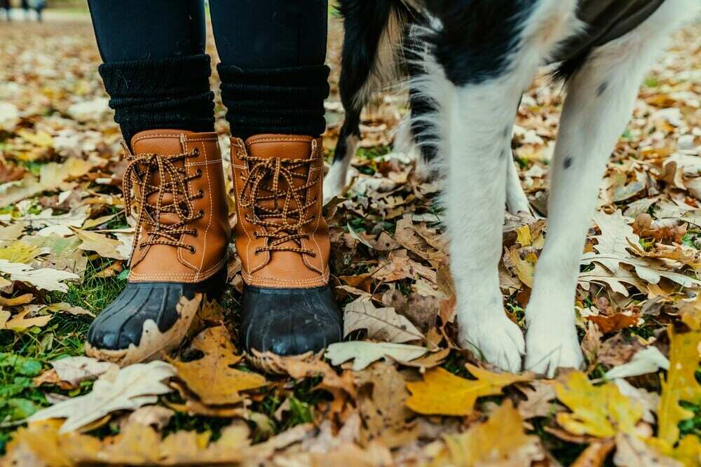 Herbstwanderung mit Hund