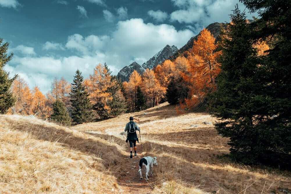 Wandern mit Hund