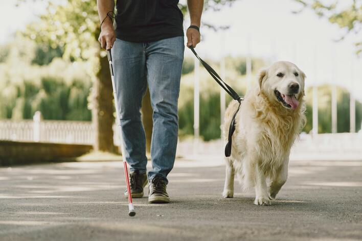 So gelingt die Assistenzhundeausbildung in der Schweiz